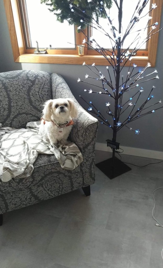 This image has an empty alt attribute; its file name is unadjustednonraw_thumb_4372.jpg