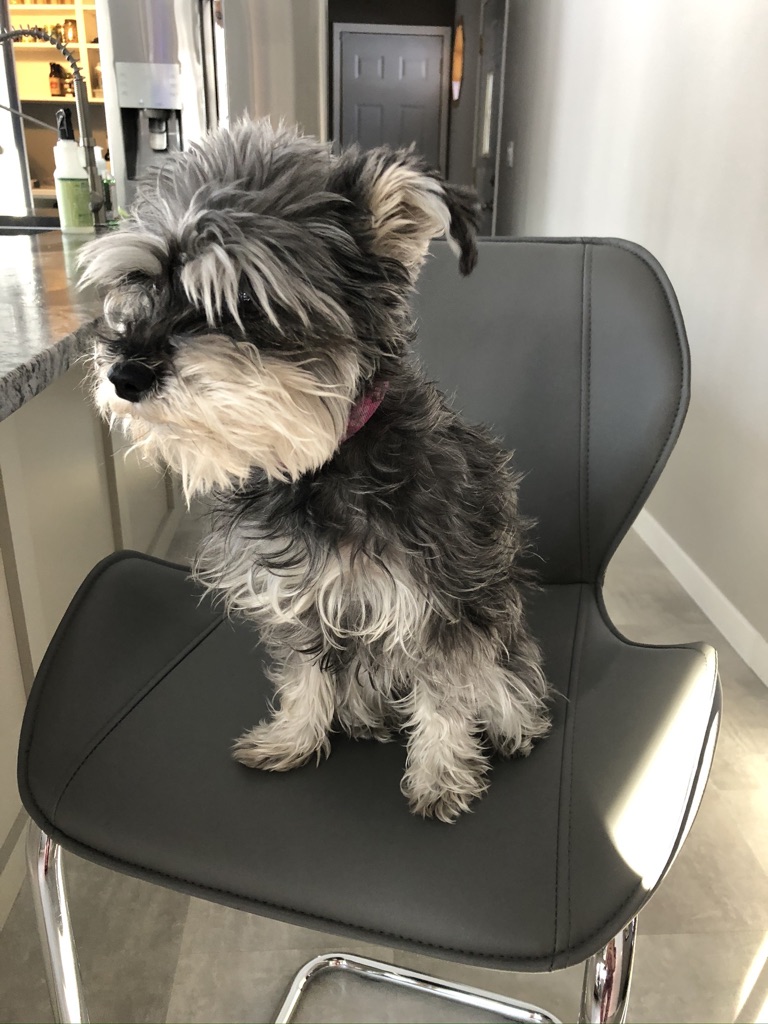 This image has an empty alt attribute; its file name is unadjustednonraw_thumb_448a.jpg